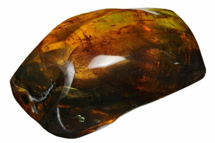 Polished Chiapas Amber ( g) - Mexico #180472